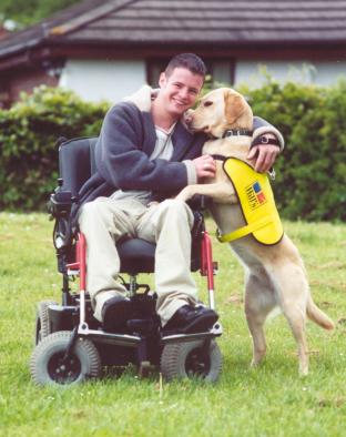 Dogs shop for disabled